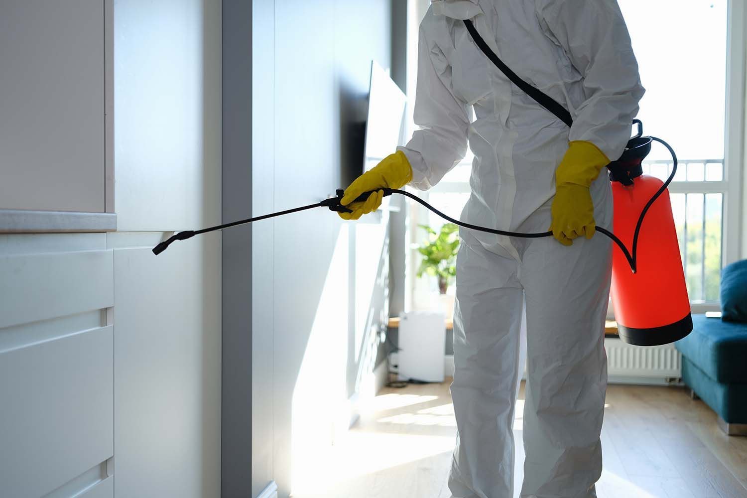 home-fumigation-service.jpg