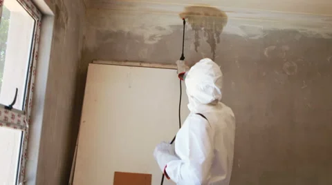 man-doing-pest-control-footage-061936485_iconl.webp